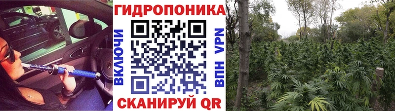 Наркотические вещества Кочубеевское Марихуана  omg ссылки  КОКАИН  Экстази  Гашиш  Меф мяу мяу 