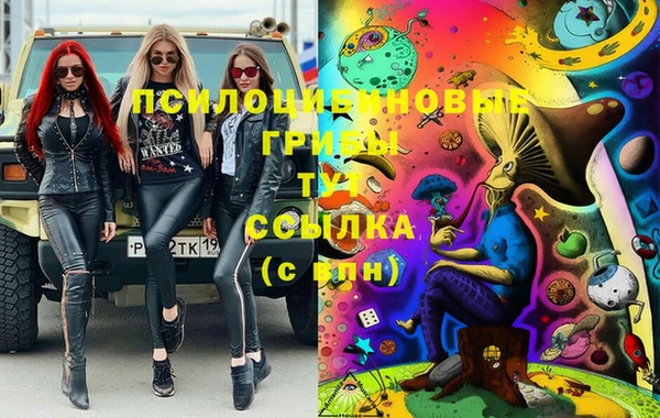 гидра Куйбышев