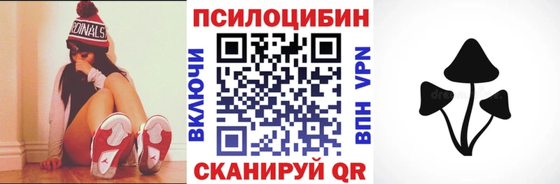 Галлюциногенные грибы прущие грибы  где продают   Кочубеевское 